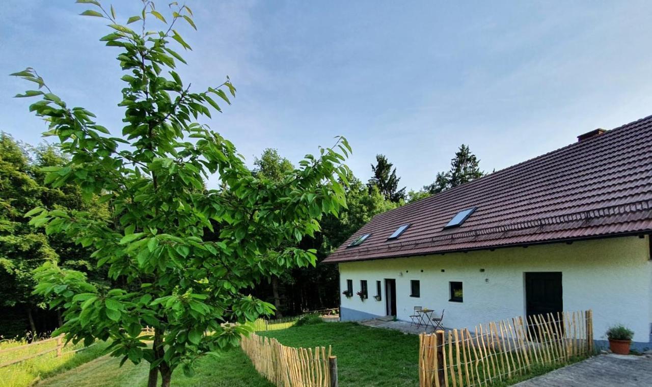 Ferienhaus Am Dachsberg, Bayerischer Wald Apartment Haselbach ภายนอก รูปภาพ