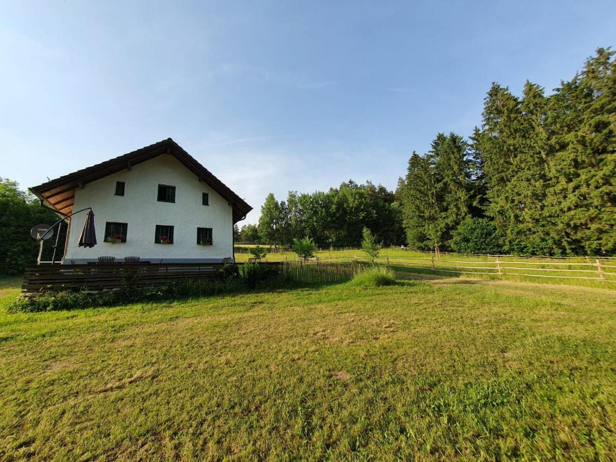 Ferienhaus Am Dachsberg, Bayerischer Wald Apartment Haselbach ภายนอก รูปภาพ