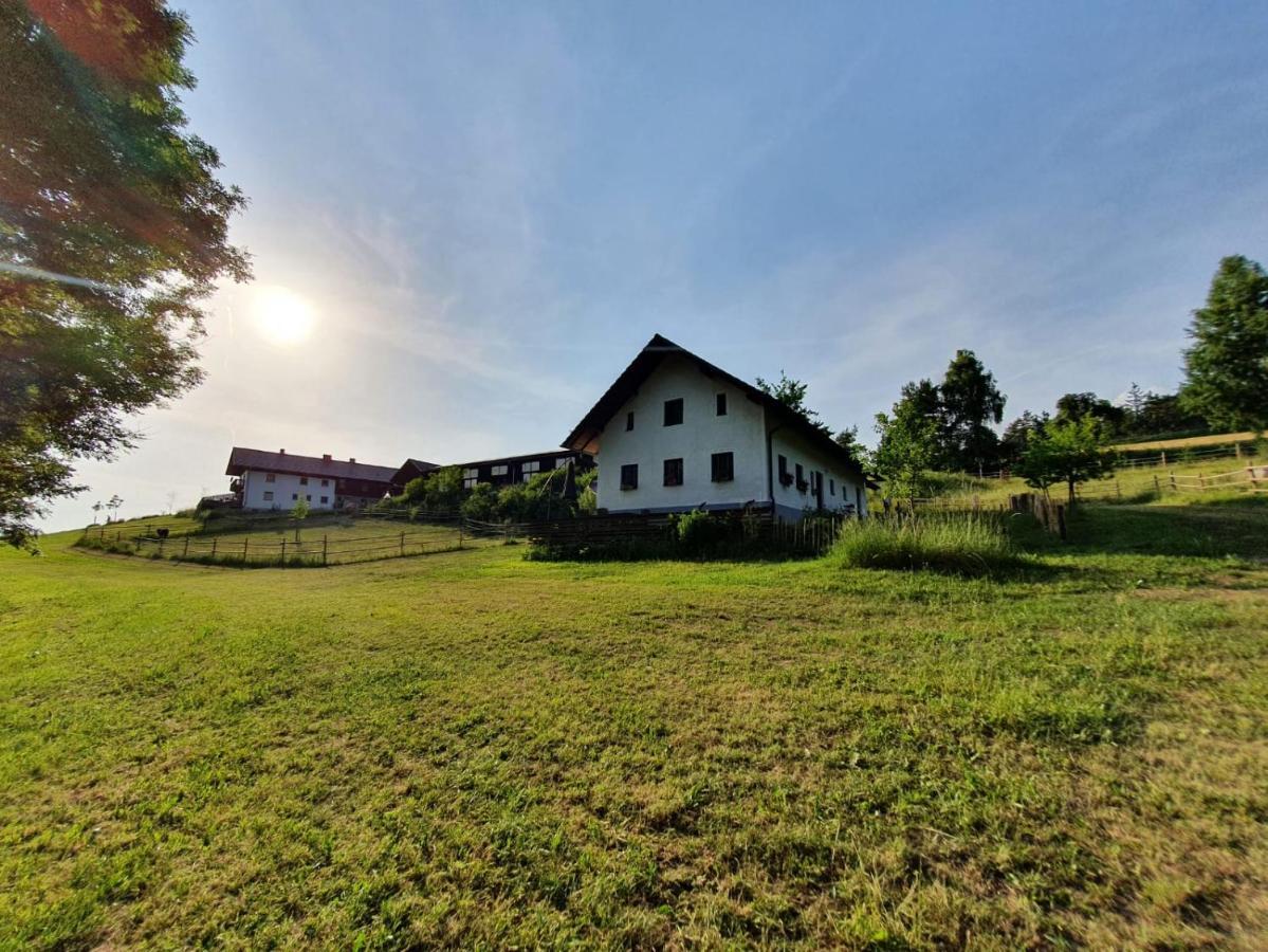 Ferienhaus Am Dachsberg, Bayerischer Wald Apartment Haselbach ภายนอก รูปภาพ